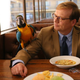 Image for article titled Andy Daly will Review anything (as long as it doesn’t involve primates)